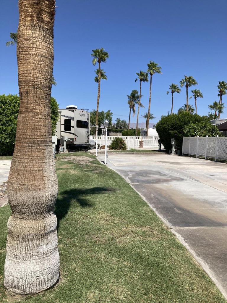 MLS #219135268DA image #3