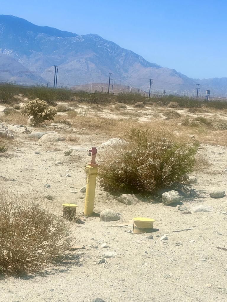 MLS #219135318DA image #6