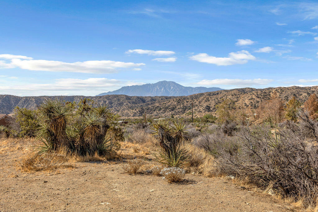 MLS #219135582DA image #62