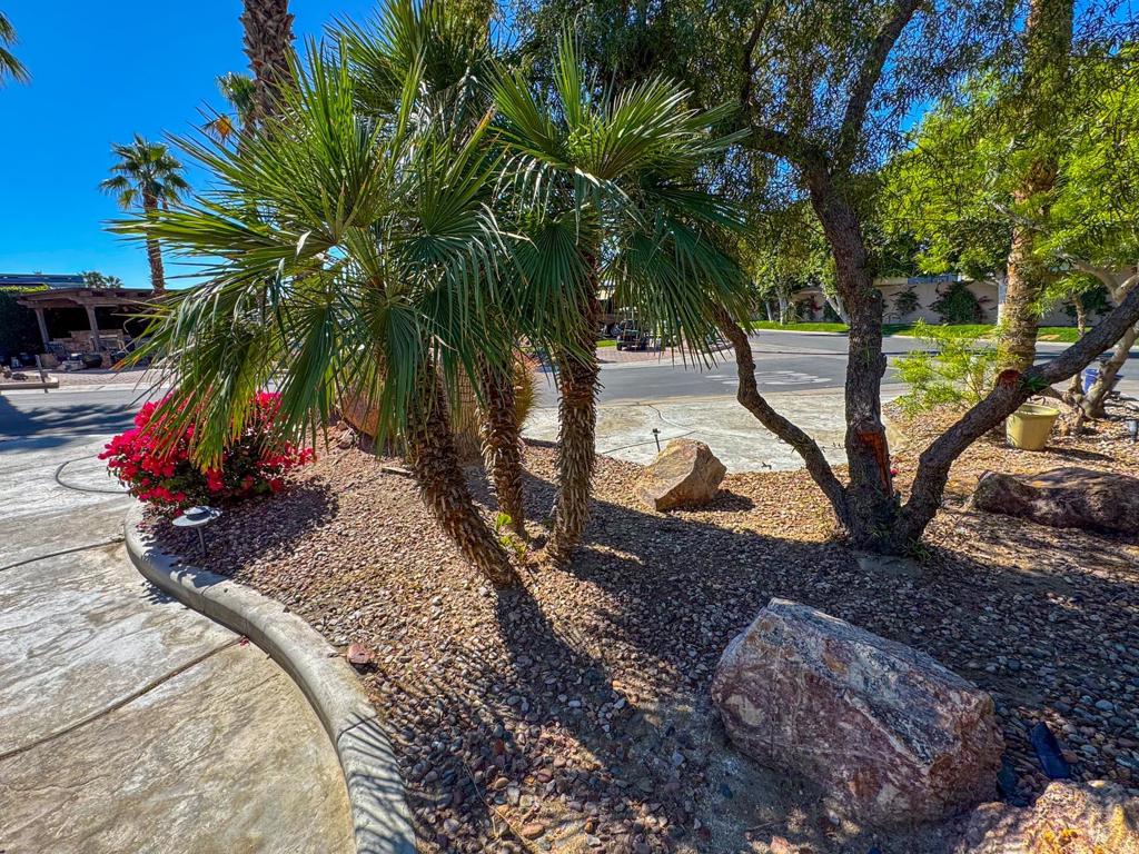 MLS #219135589DA image #6