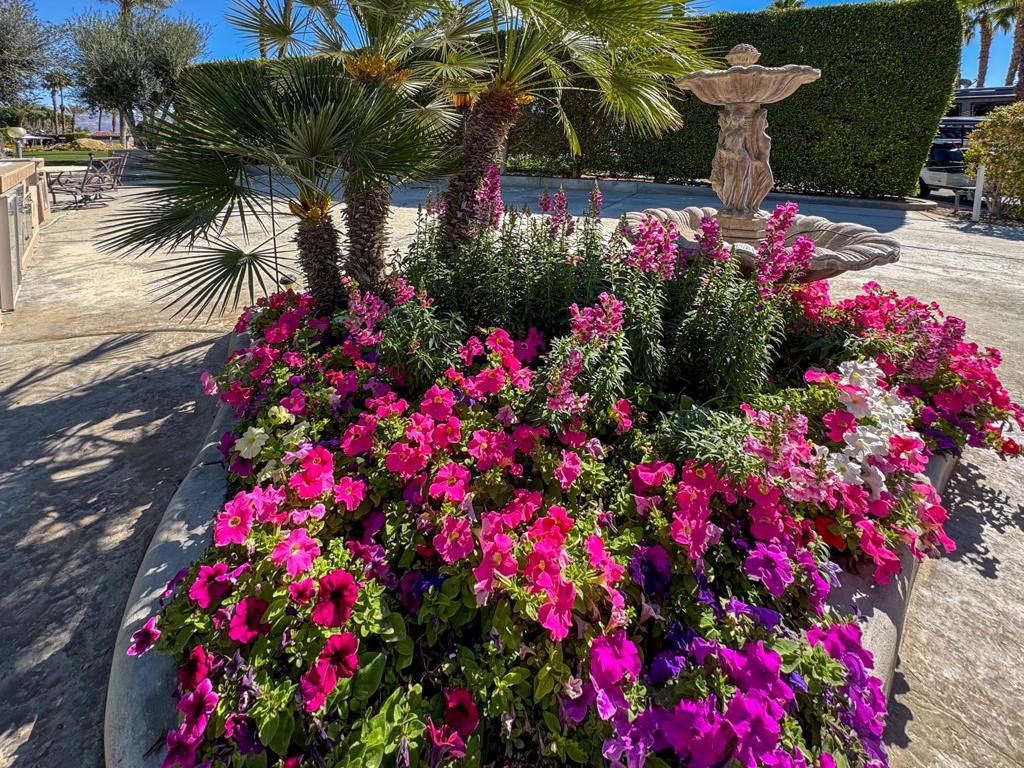 MLS #219135589DA image #7