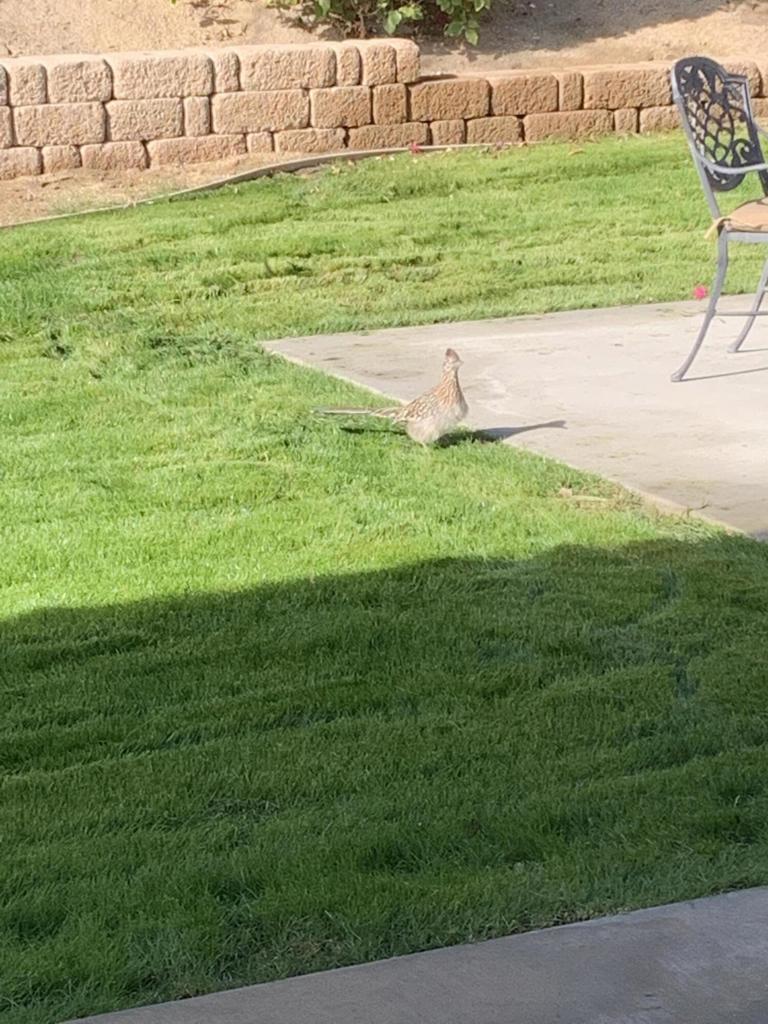 MLS #219135609DA image #13