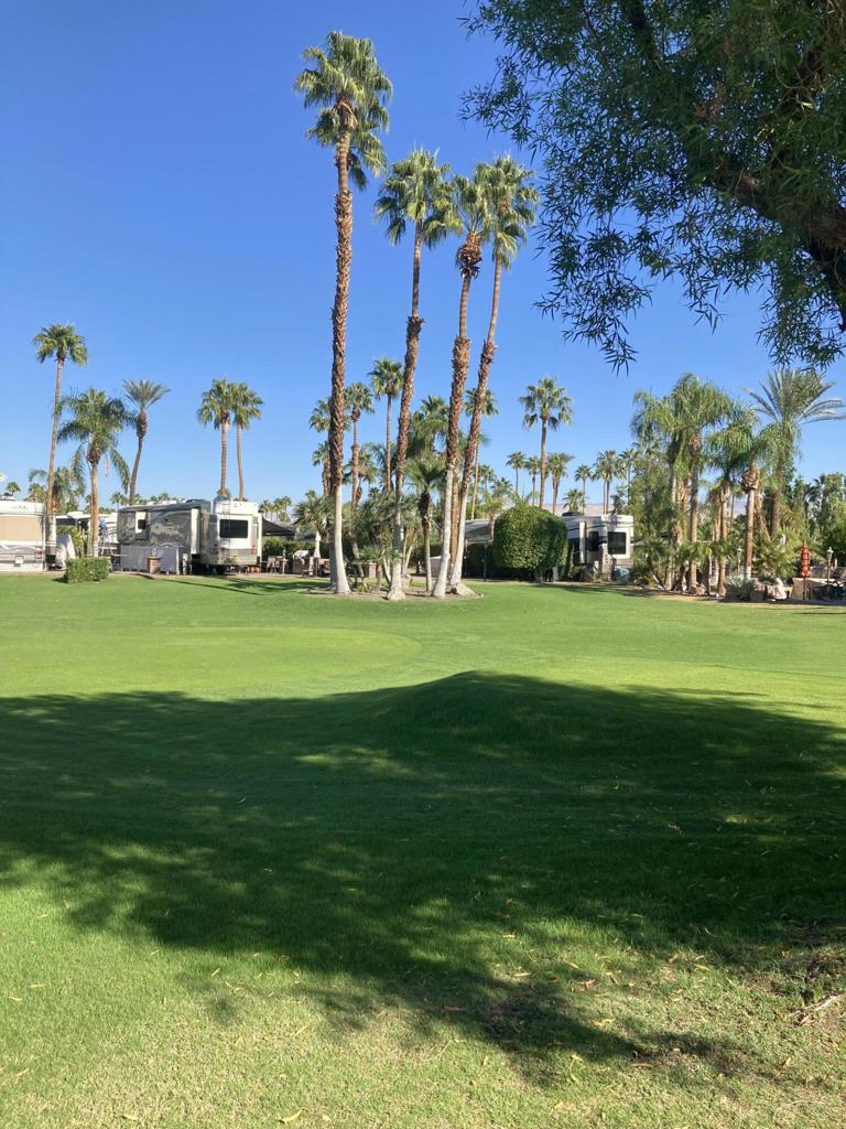 MLS #219135624DA image #1