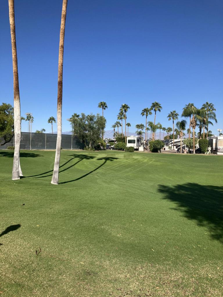 MLS #219135624DA image #2