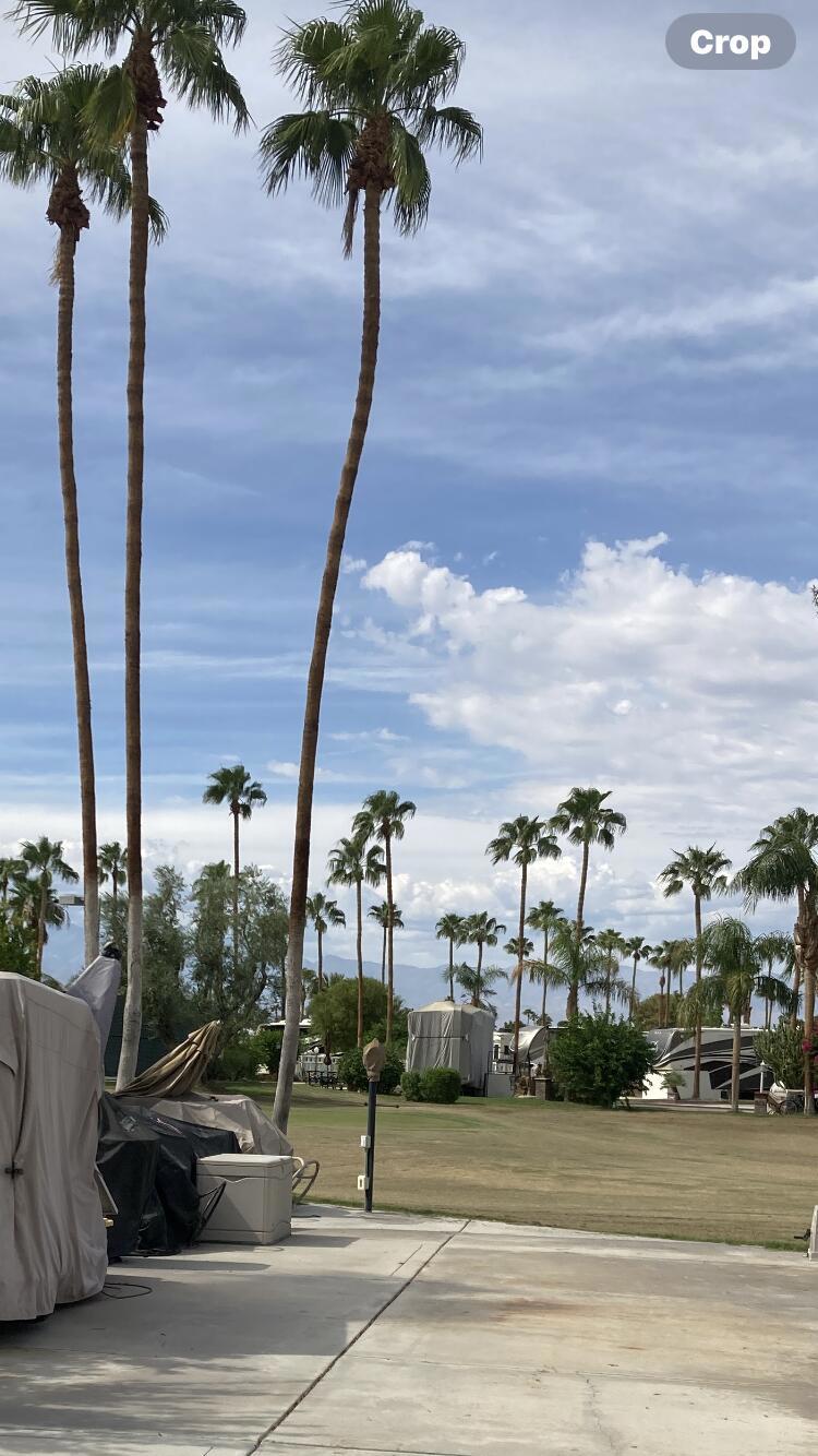 MLS #219135624DA image #9