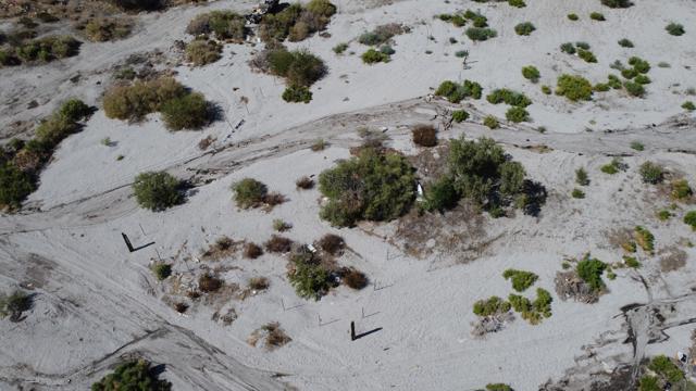 MLS #219135628DA image #4