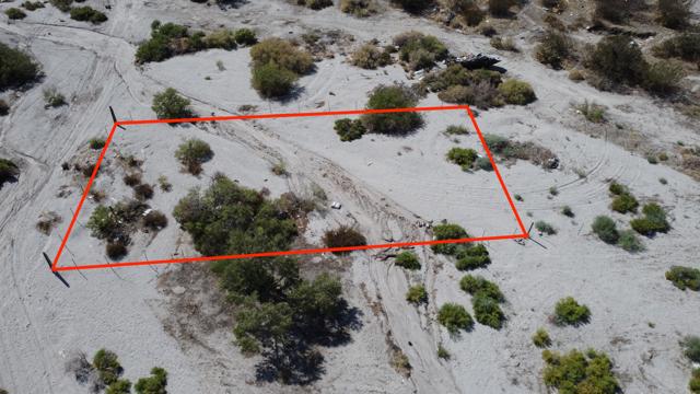 MLS #219135628DA image #5