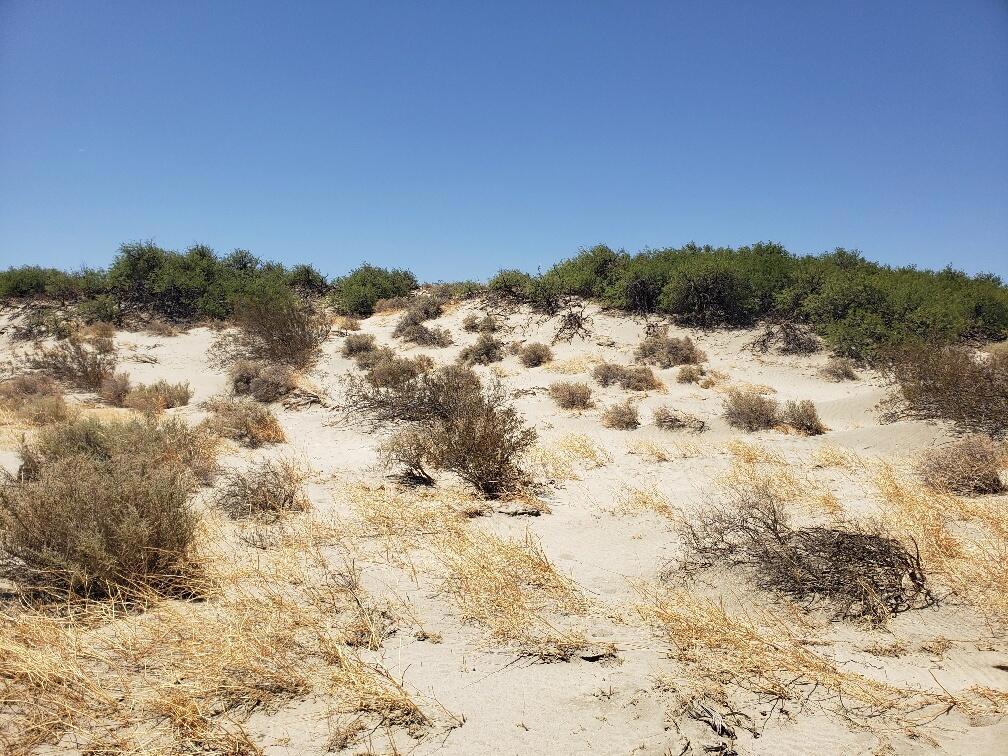 MLS #219135671DA image #1