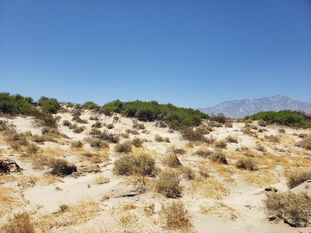 MLS #219135671DA image #2