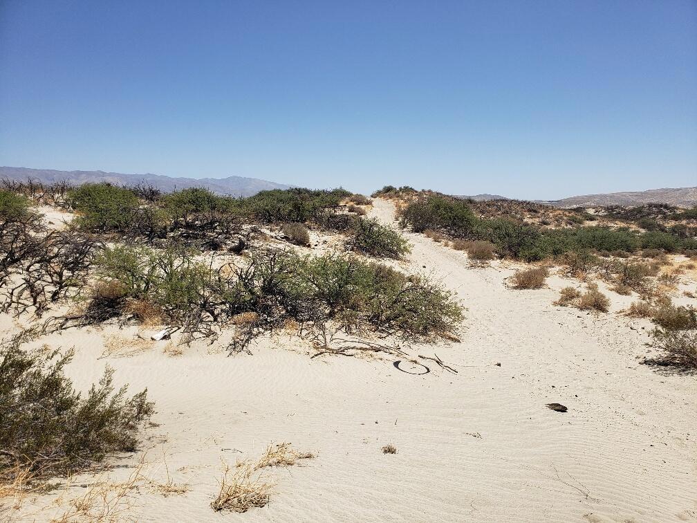 MLS #219135671DA image #3