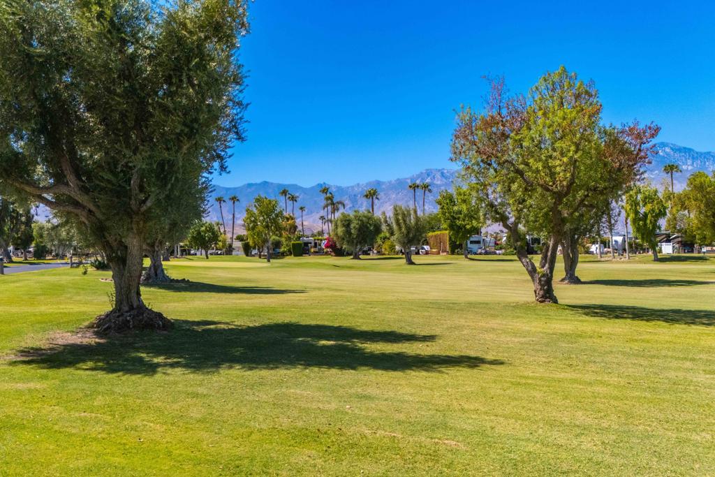 MLS #219135702PS image #7