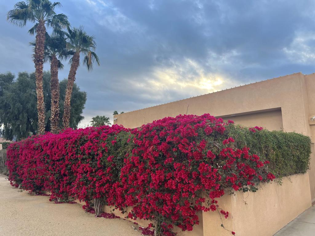 MLS #219135708DA image #1