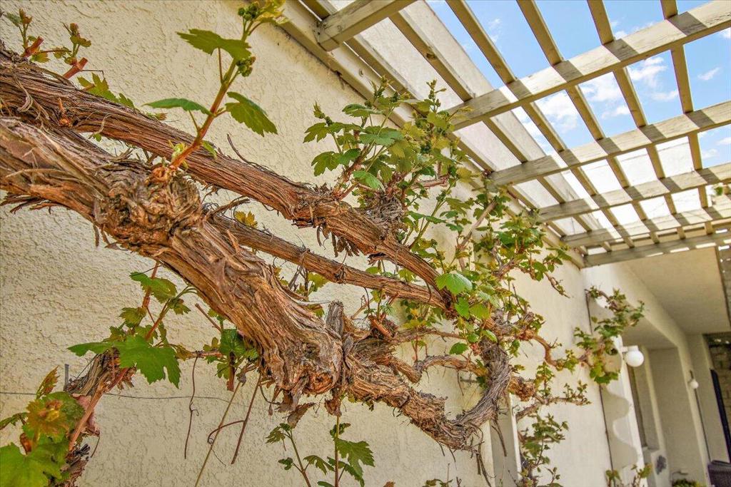 MLS #219135724DA image #41