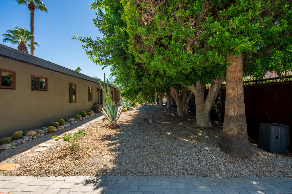 MLS #219135751DA image #3