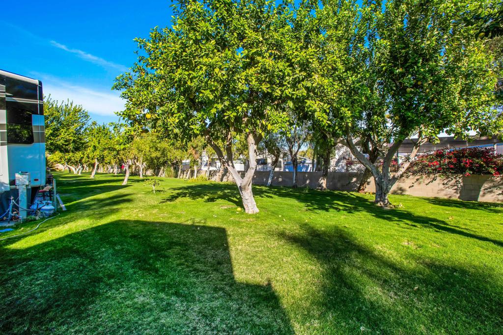 MLS #219135761PS image #14