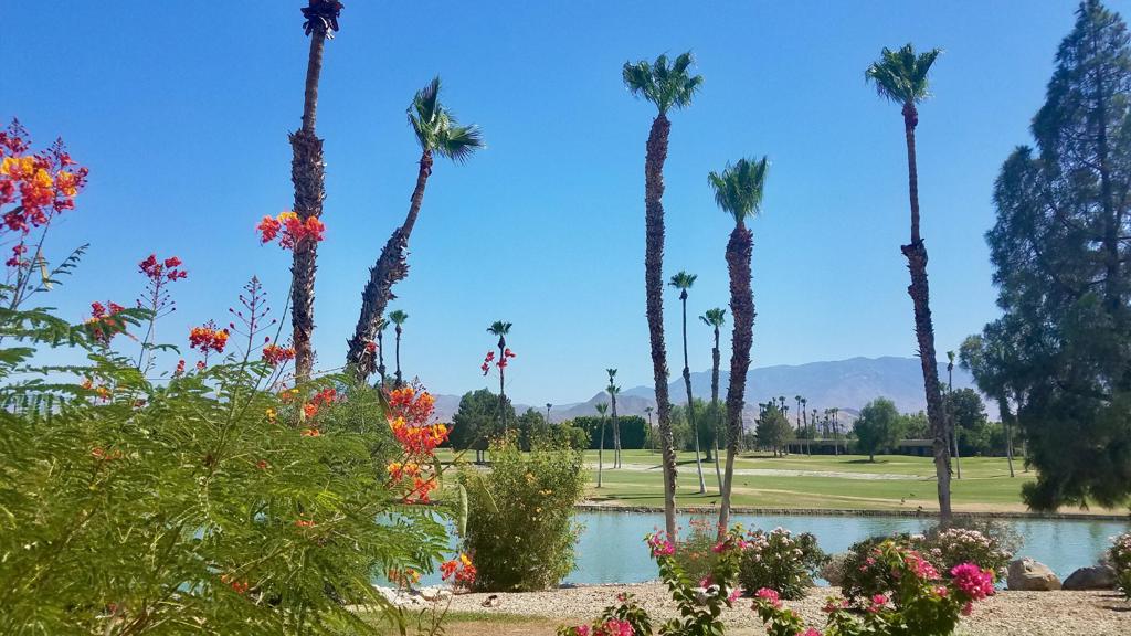 MLS #219135848PS image #1