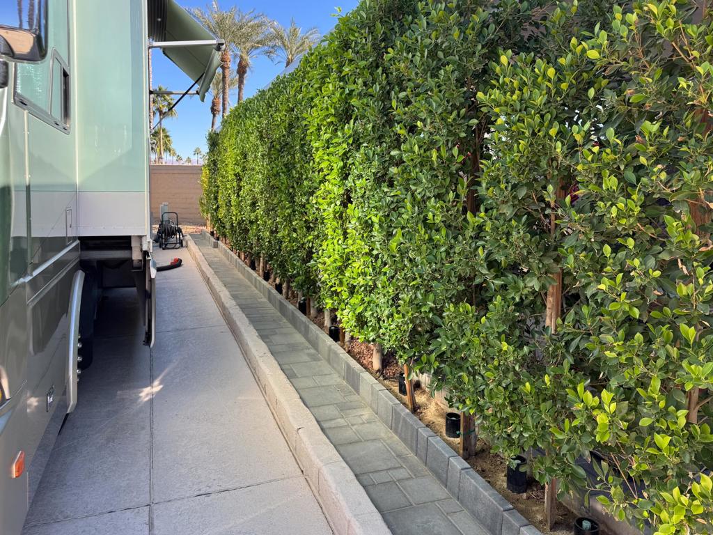 MLS #219135882DA image #6