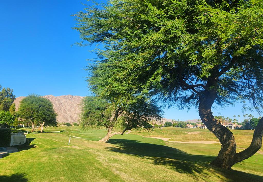 MLS #219135924DA image #22