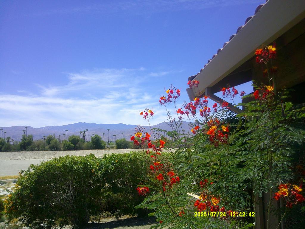 MLS #219135926DA image #2