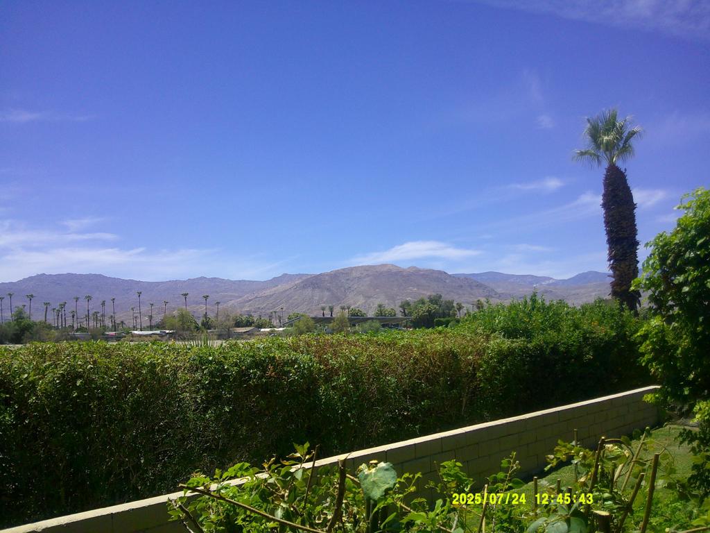 MLS #219135926DA image #56