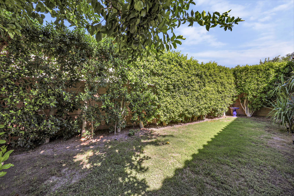 MLS #219135941DA image #38