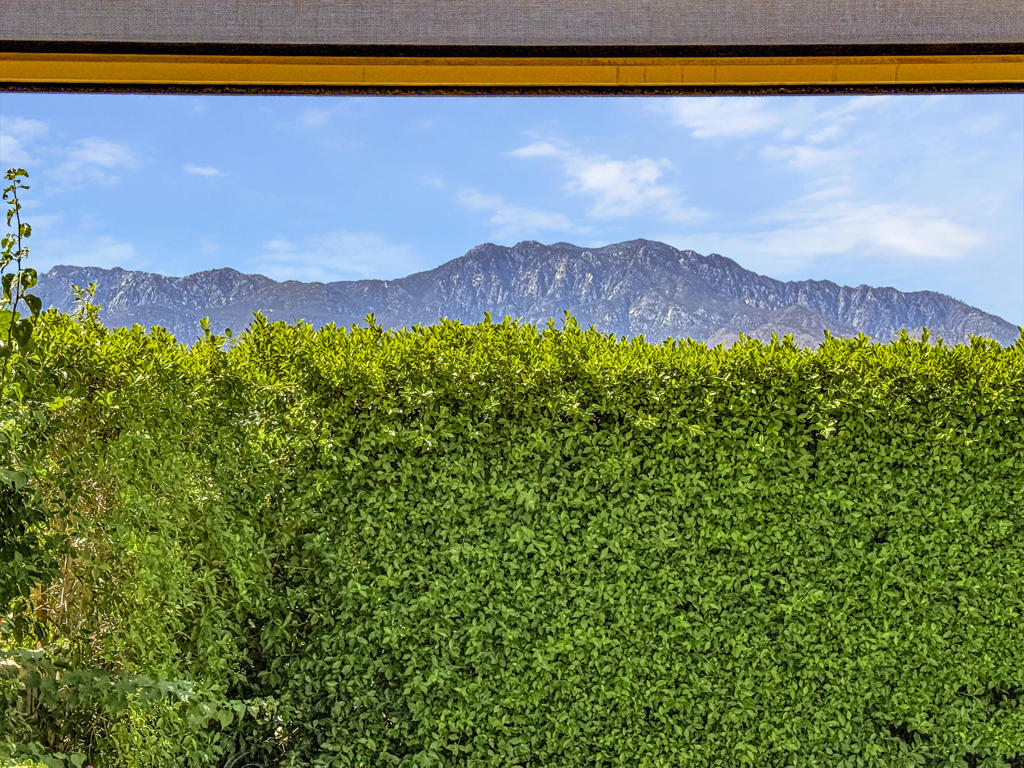 MLS #219135941DA image #42