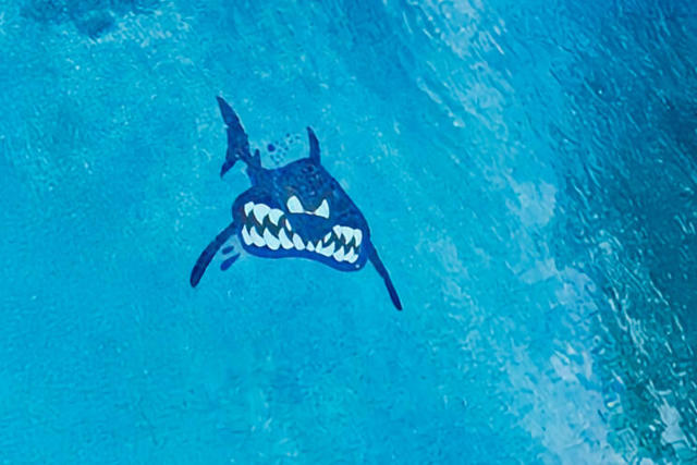 MLS #219135947DA image #13