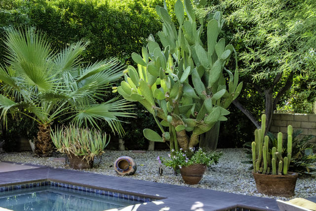 MLS #219135947DA image #14