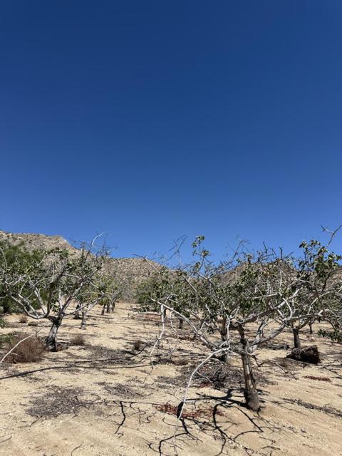 MLS #219135965PS image #1