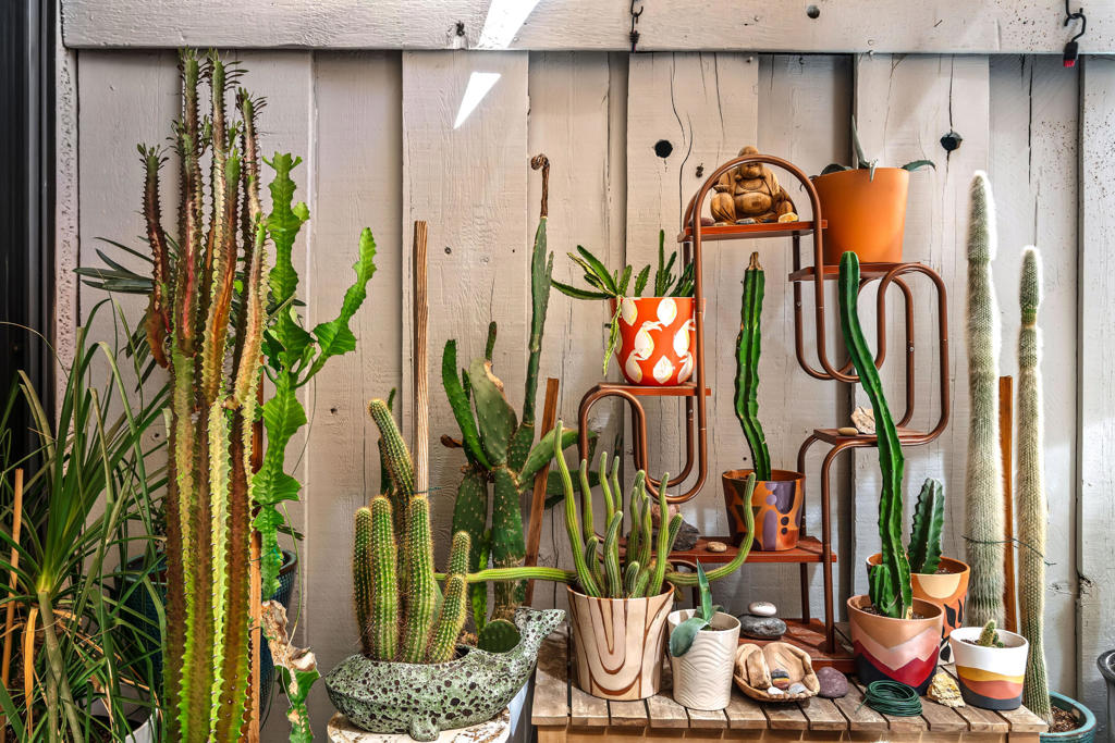 MLS #219135992DA image #18