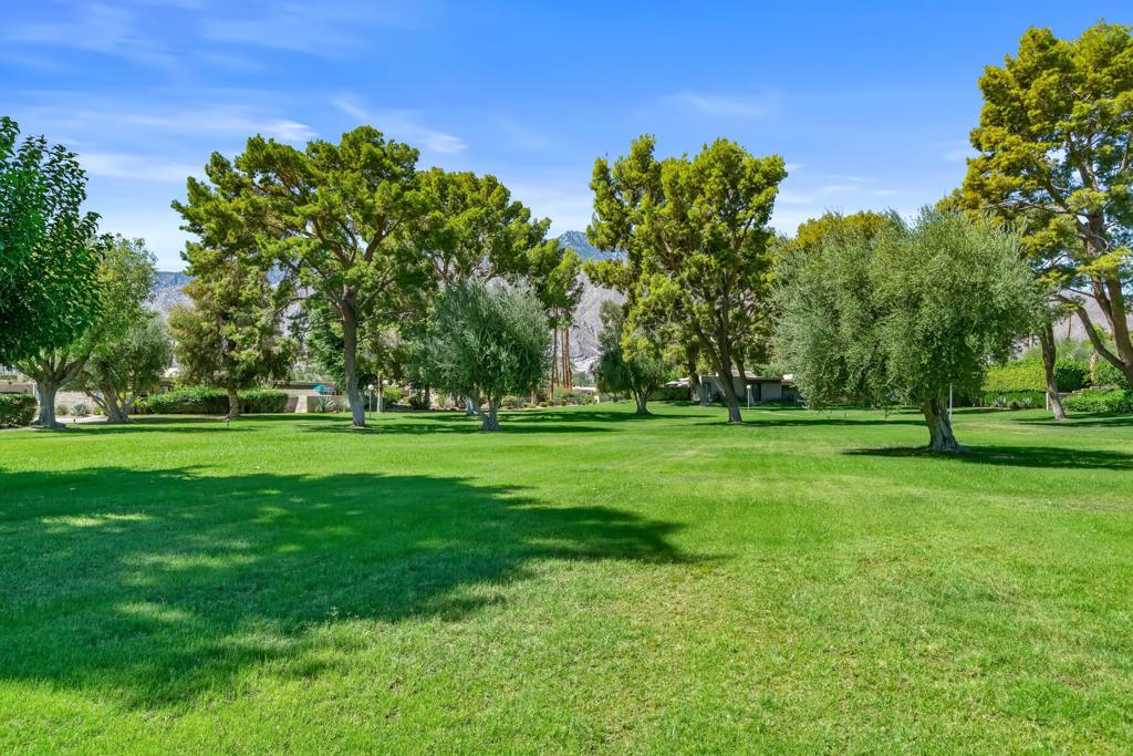 MLS #219135992DA image #39