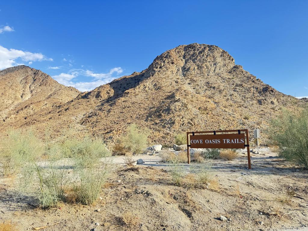 MLS #219135994DA image #7