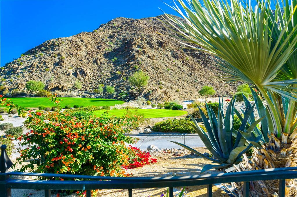 MLS #219136029DA image #47