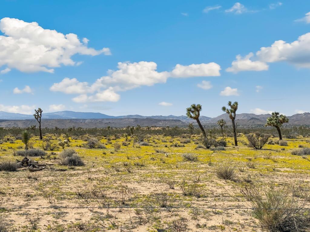 MLS #219136142DA image #14