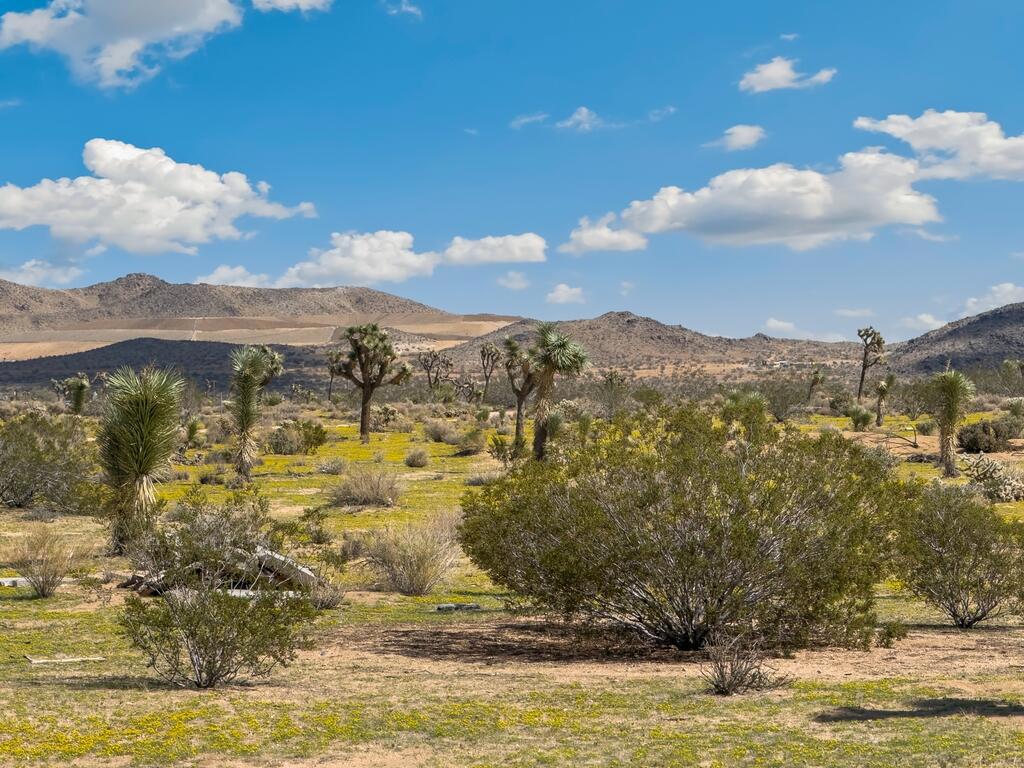 MLS #219136142DA image #16