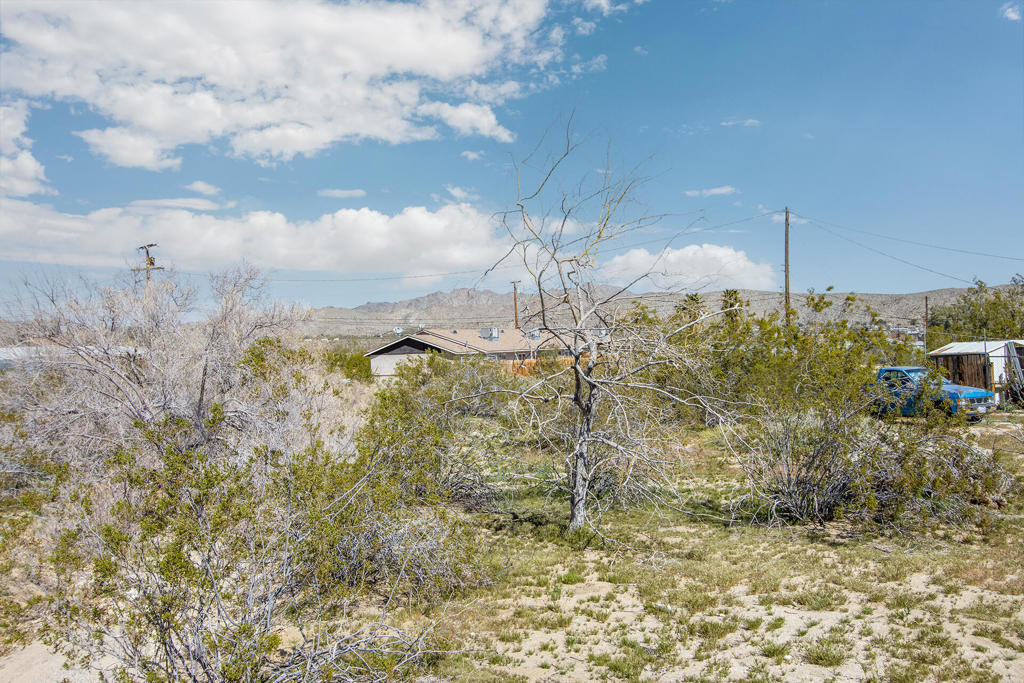 MLS #219136144PS image #10