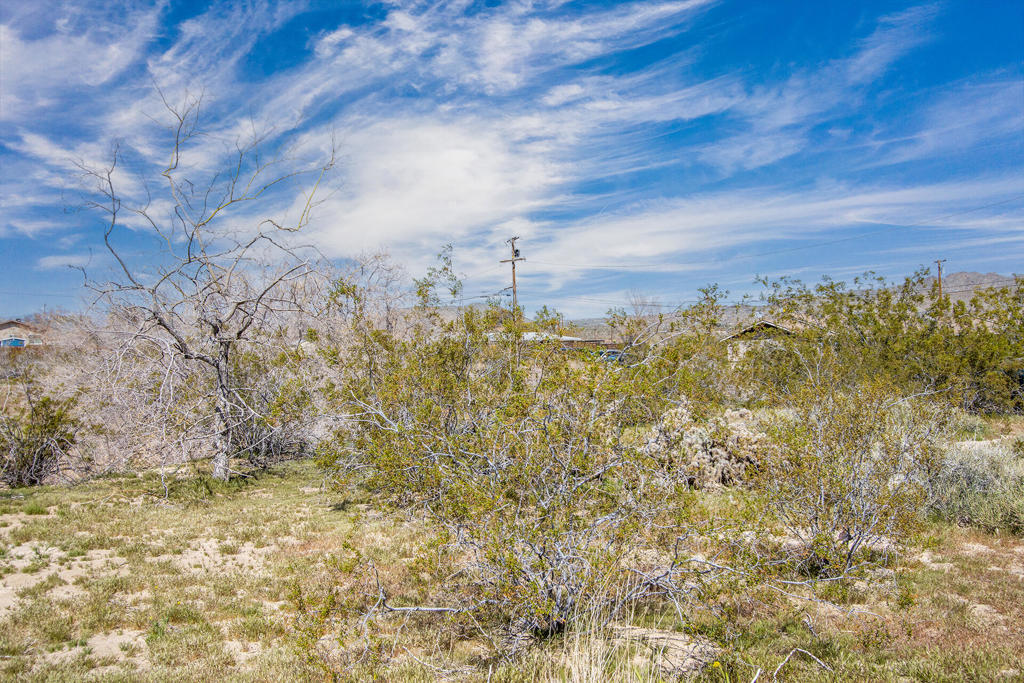 MLS #219136144PS image #12