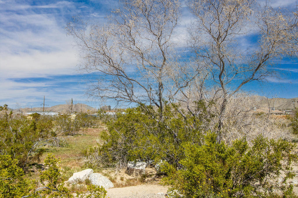 MLS #219136144PS image #7