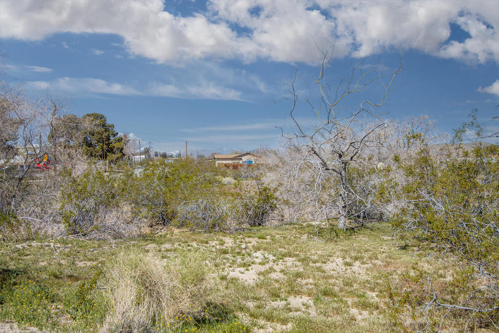 MLS #219136144PS image #9