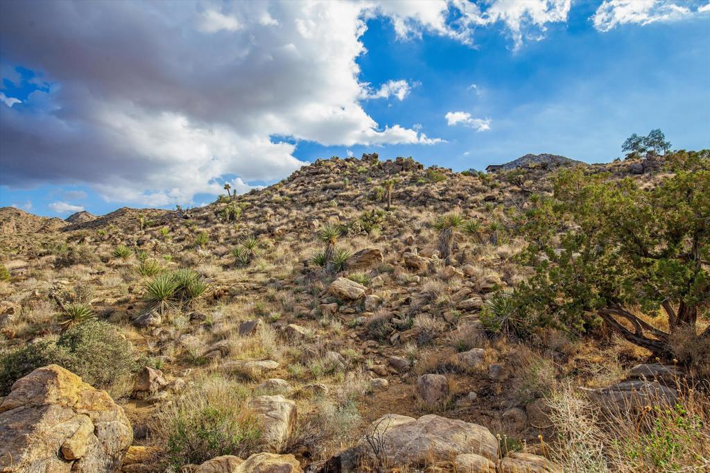 MLS #219136191PS image #15