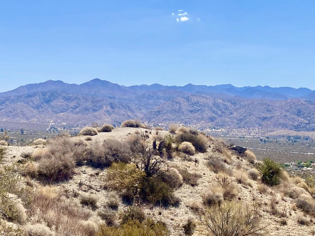 MLS #219136221PS image #11