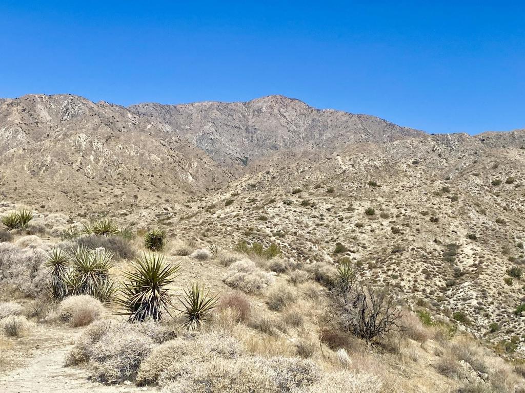 MLS #219136221PS image #33