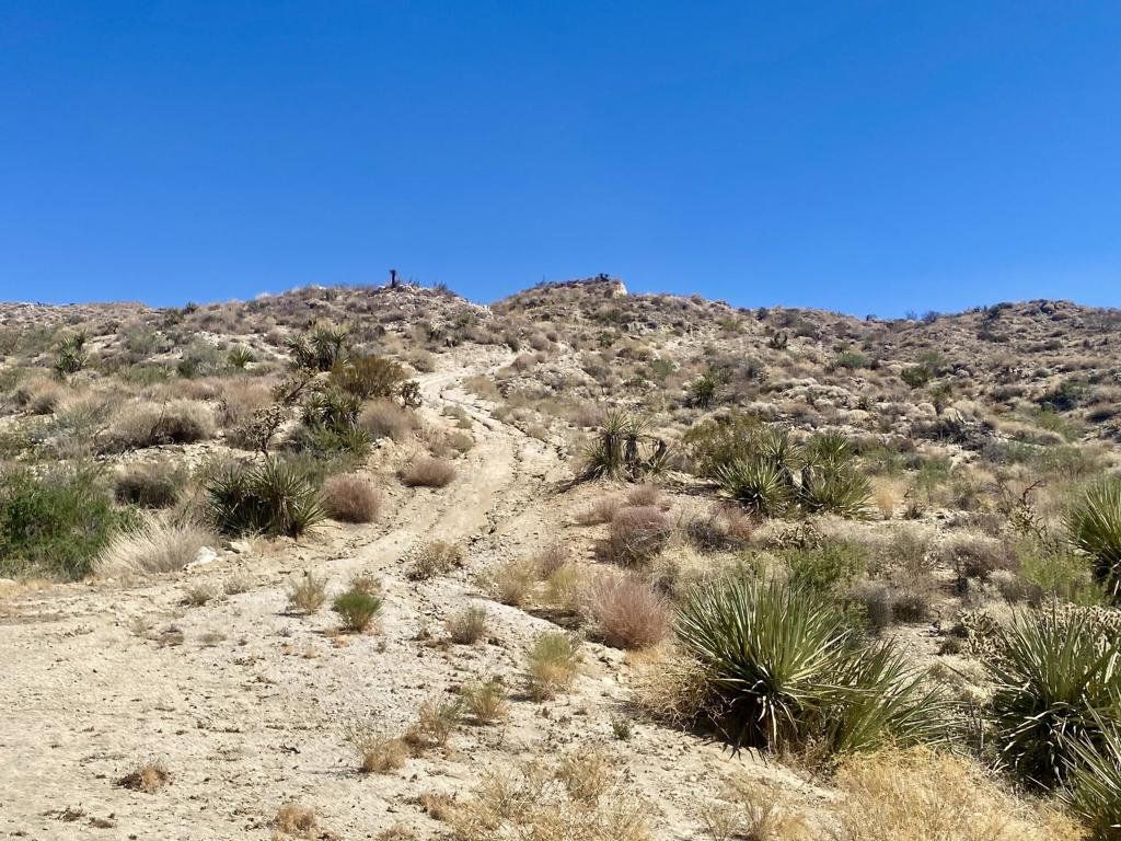 MLS #219136221PS image #4