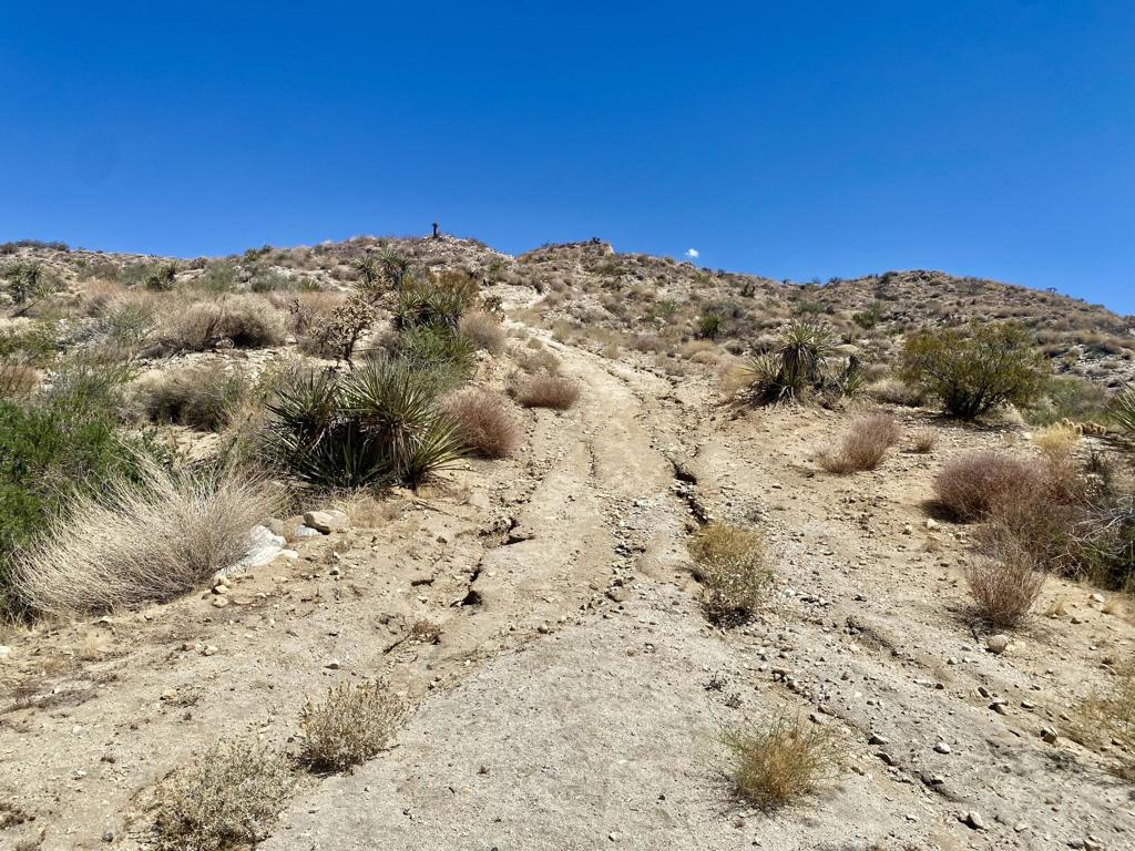 MLS #219136221PS image #42