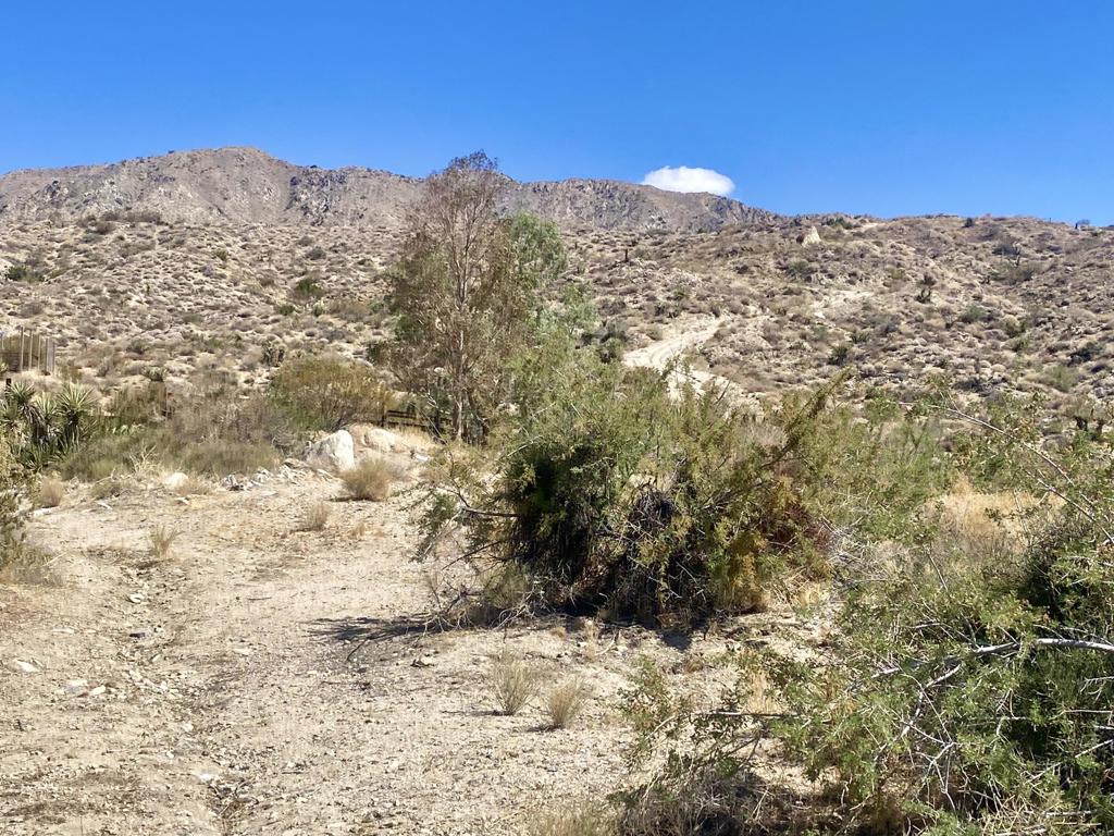 MLS #219136221PS image #6