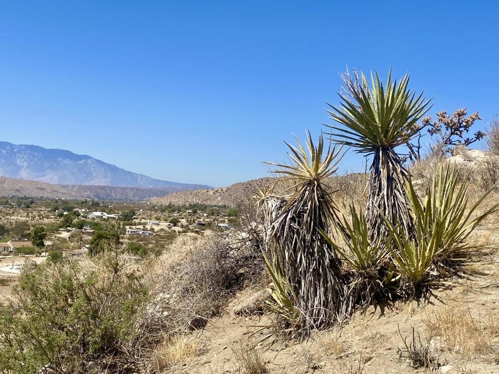 MLS #219136221PS image #7