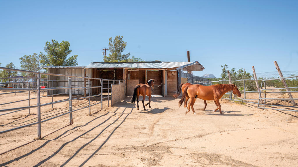 MLS #219136231DA image #26