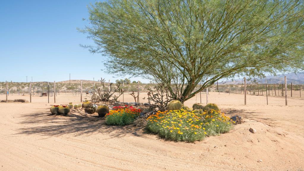 MLS #219136231DA image #34