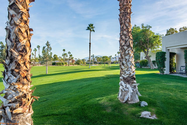 MLS #219136303DA image #28