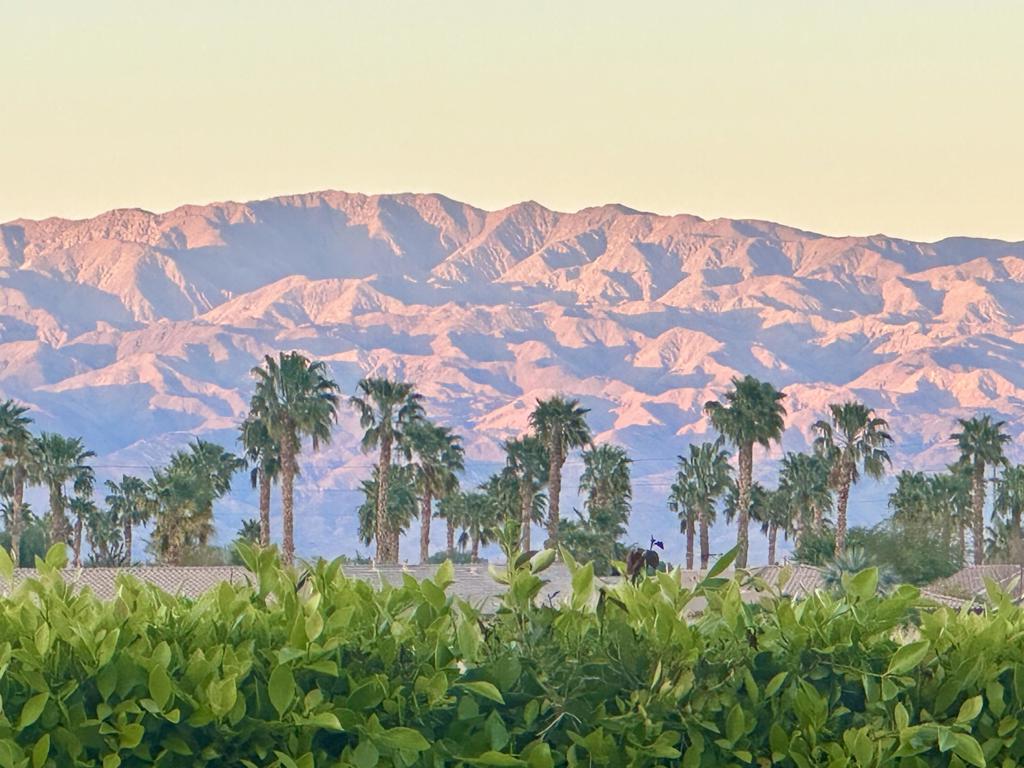 MLS #219136334DA image #37